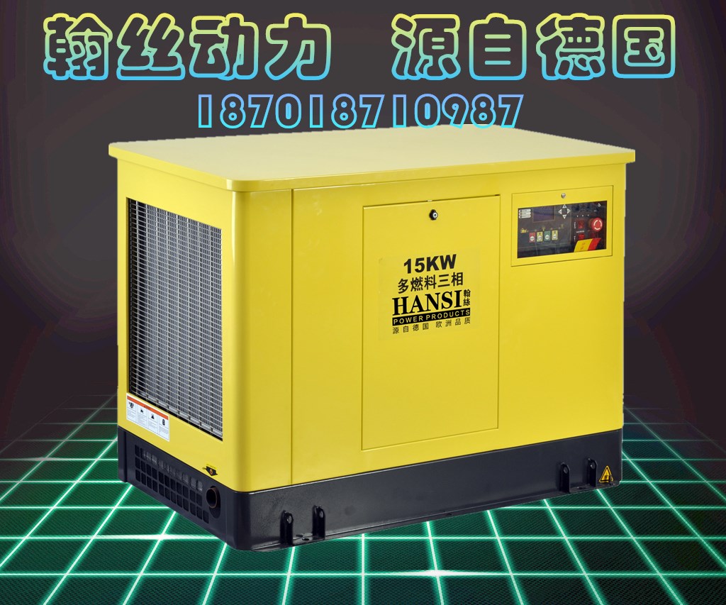 HANSI翰絲靜音式12kw汽油發(fā)電機