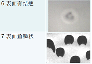 科視創(chuàng)鋰電池極片表面缺陷檢測(cè)-表面有白斑/表面有魚鱗狀