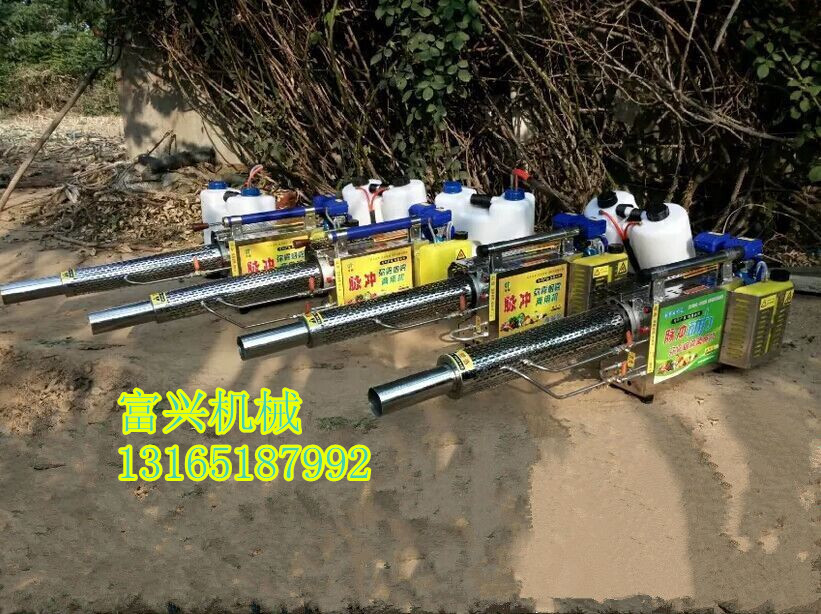 汽油噴霧器 手推式機(jī)動(dòng)噴霧器 地滅蟲打藥彌霧機(jī)