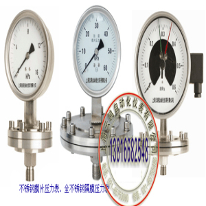 卡箍安裝耐震真空壓力表ZN100U永嘉縣