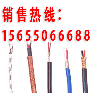 DJYP3VP3R計(jì)算機(jī)電纜圖片 中旺特電纜