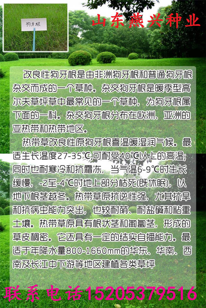 吉林省白山市護坡草播種方法