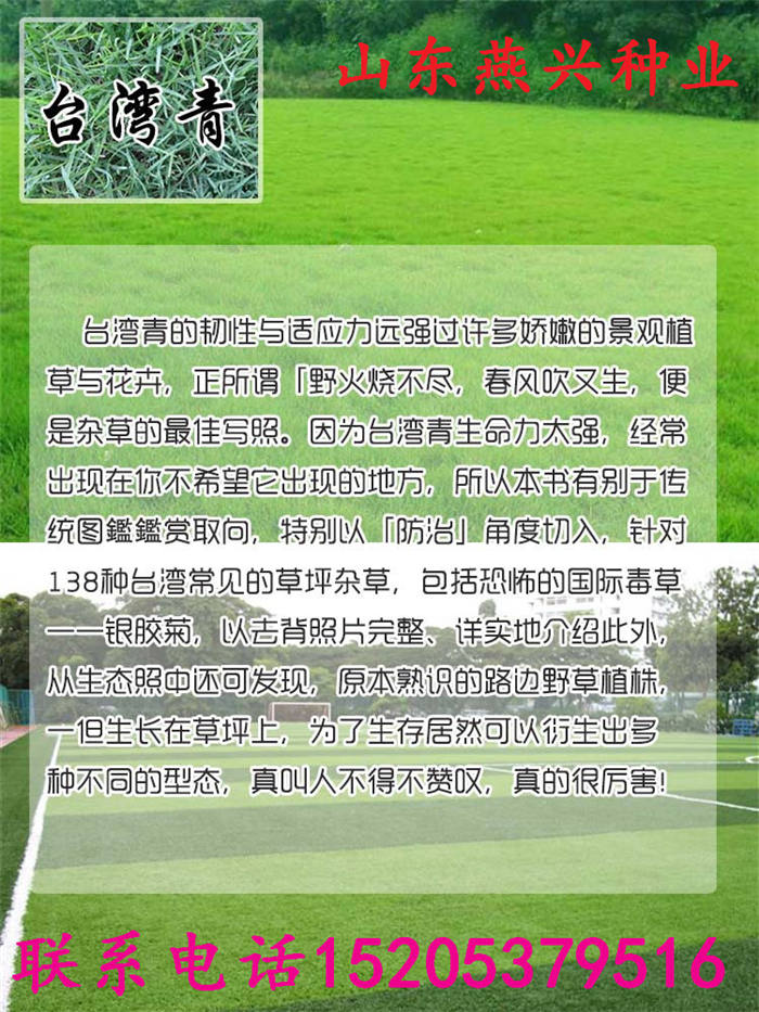 江蘇省南通市護(hù)坡草種怎么種植