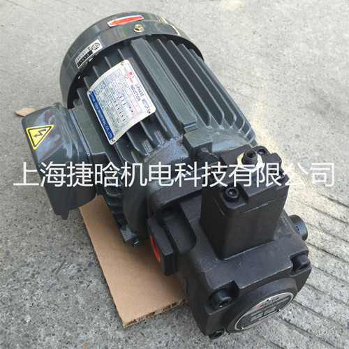 臺灣群策S.Y內(nèi)插式C01-63B0液壓電機 1HP-6P