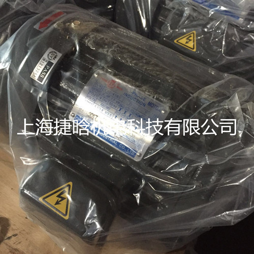 臺灣群策C20-63B0 20HP-6P臥式液壓內(nèi)軸電動機