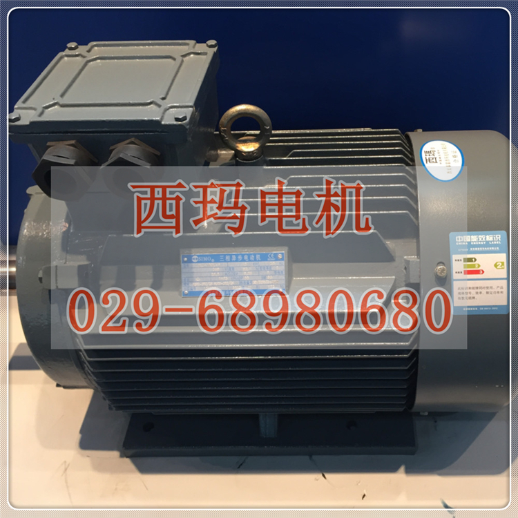 YGP400L3-8 200KW/F級或H級絕緣變頻調(diào)速三相異步電動機(jī)廠家直銷【鴻泰電機(jī)】