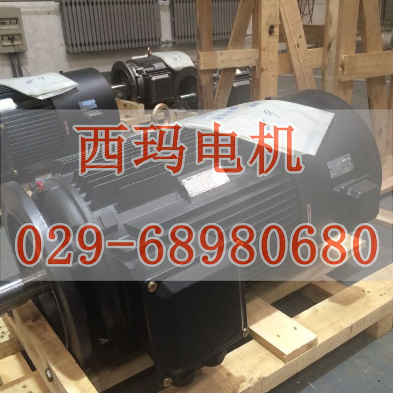 YGP280L1-8 30KW/F級或H級絕緣輥道電機(jī)生產(chǎn)廠家【鴻泰電機(jī)】