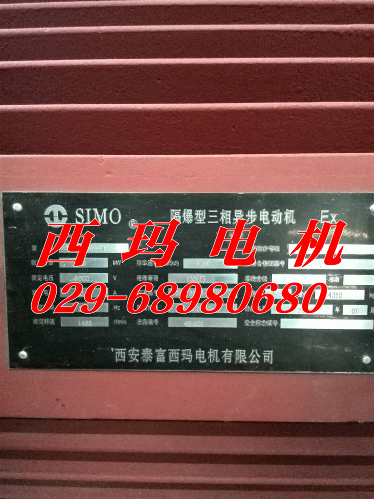 【JS137-8	210KW 380V】JS系列電動機(jī)批發(fā)供應(yīng)