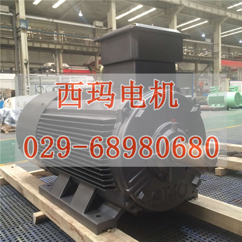 【JS1512-12 560KW 380V】西瑪中型電機調(diào)試安裝