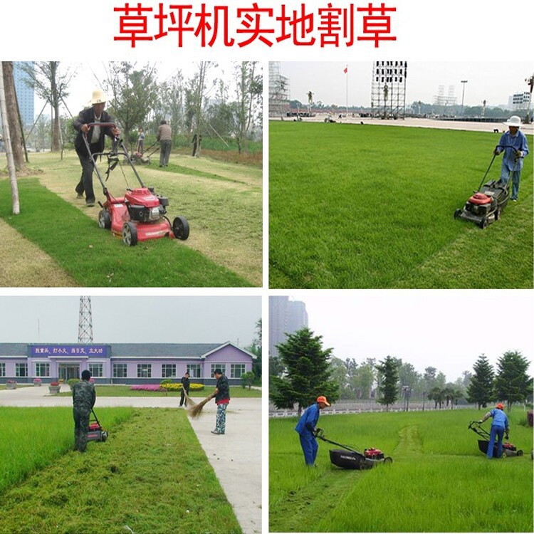 武漢側(cè)掛式割草機(jī)圖片 福建暢銷手提式割草機(jī)價(jià)格低,