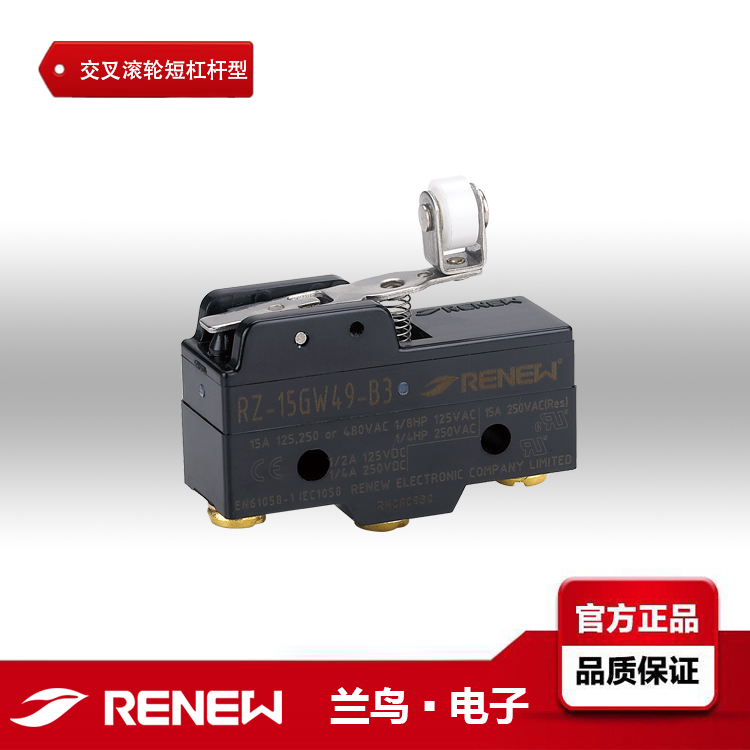 RZ-15GW49-B3/REBEW蘭鳥(niǎo)電子微動(dòng)開(kāi)關(guān)