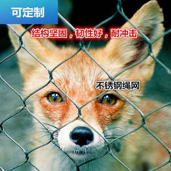 不銹鋼編織繩網(wǎng)動物園橋梁防護網(wǎng)柔性鋼絲網(wǎng)橋梁安平縣名策絲網(wǎng)制品有限