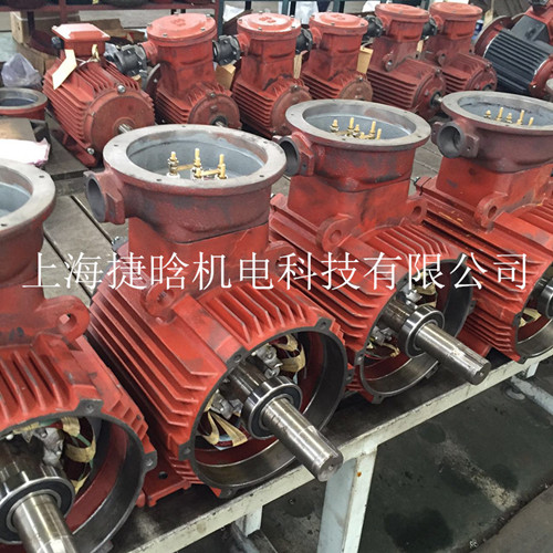 上海三相防爆電機(jī) ExdII BT4 1.1KW-2極 隔爆三相異步電動(dòng)機(jī)