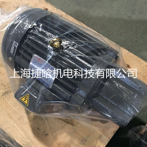 直銷C03-43B0群策S.Y群力2.2KW電機(jī)上海銷售