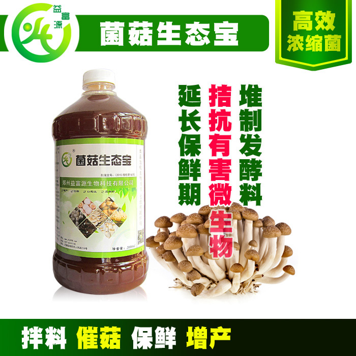 貴陽云南吉林雞腿菇種植蘑菇益生菌菌液廠家聯(lián)系方式河南廣西青海