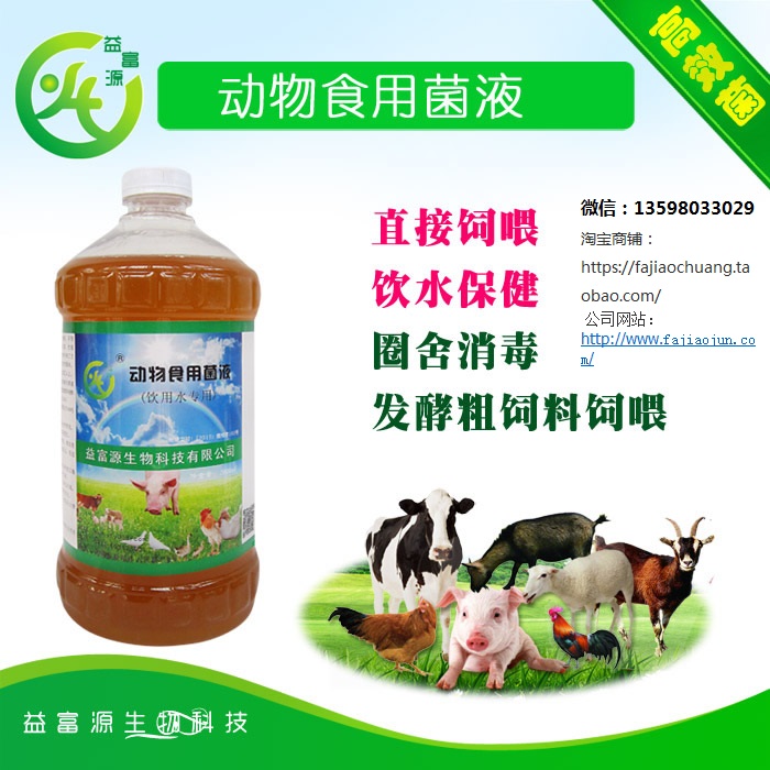 柴雞肉雞蛋雞飼料提高蛋白轉(zhuǎn)化飲水飼料添加劑什么牌子好用