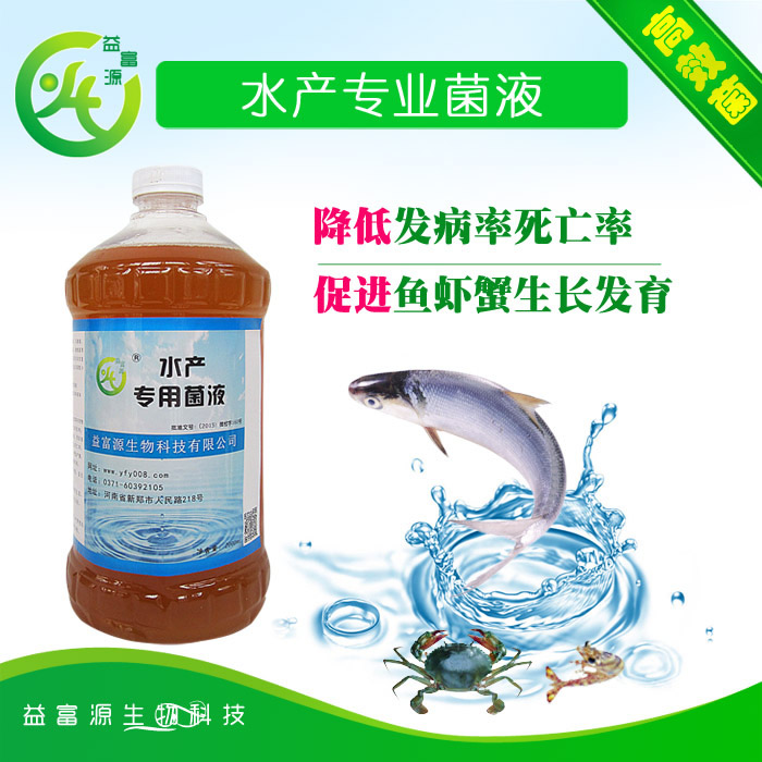 水產(chǎn)養(yǎng)殖水產(chǎn)消化菌液魚(yú)用益生菌什么價(jià)格廠家聯(lián)系電話