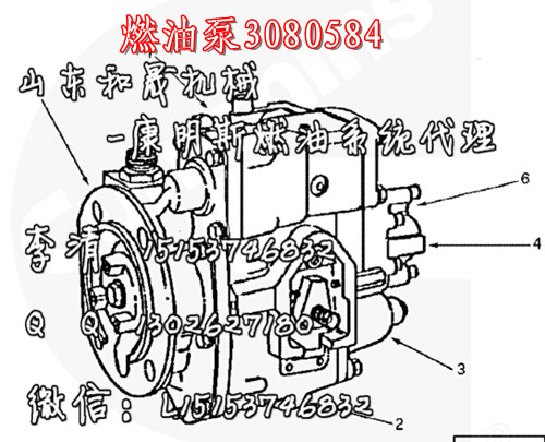 特雷克斯TR60配燃油泵3080584【康明斯KTA38柴油機】