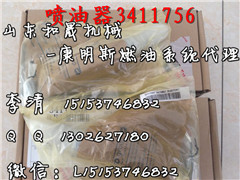 西康噴油器3411756到貨一批 ISM11發(fā)動(dòng)機(jī)總成 