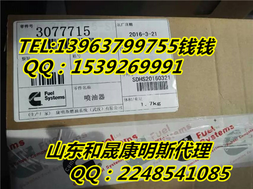 遵義市康明斯發(fā)電機組KTA19【3077715噴油器】【陜汽站】