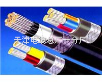 計算機(jī)屏蔽電纜DJYVPR-5×2×1.5㎜2