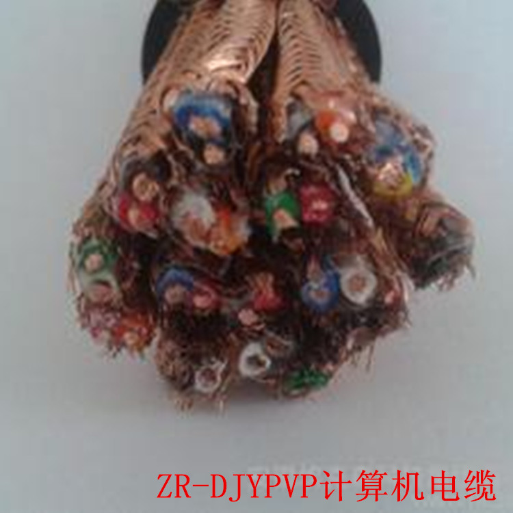 ZR-DJYPV阻燃計(jì)算機(jī)電纜價(jià)格