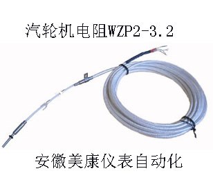 進口汽輪機鉑電阻-進口汽輪機鉑電阻廠家銷售-WZP2-3.2鉑電阻