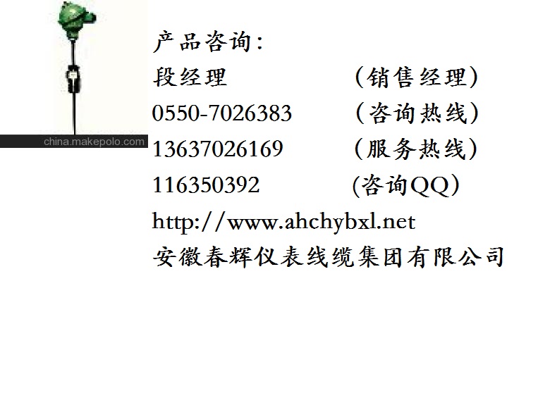 卡套式鎧裝鉑熱電阻 WZPK-231