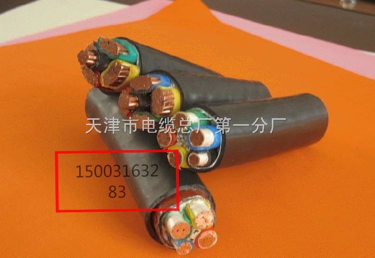 視頻電纜 SYV23-75-4  天聯(lián)