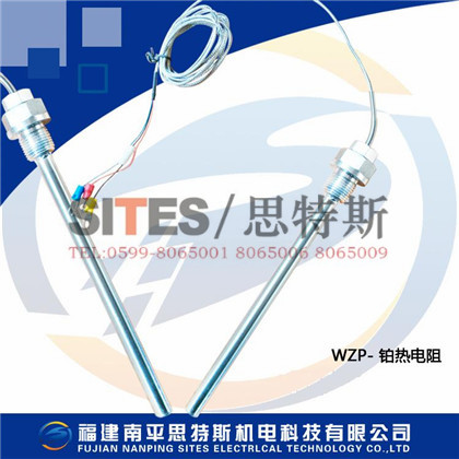 WZC 熱電阻傳感器