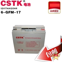 ups電池CSTK美國山特牌6-GFM-38