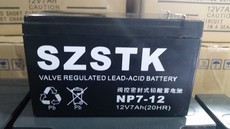 ups電池SZSTK山特牌NP38-12