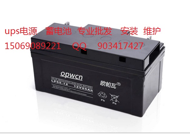 ups電池OPWCN歐帕瓦牌LP38-12