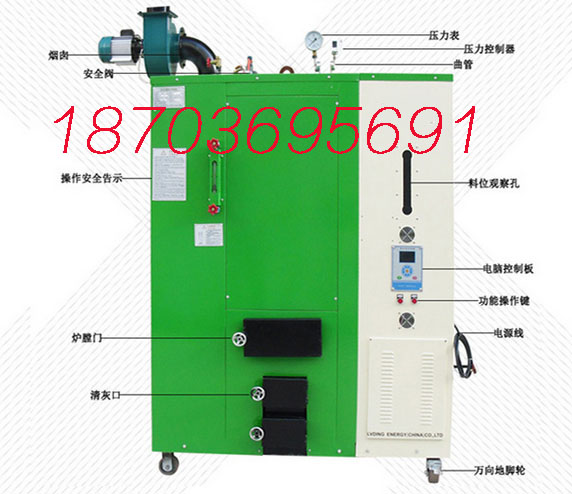 郴州生物質(zhì)蒸汽發(fā)生器加工廠家