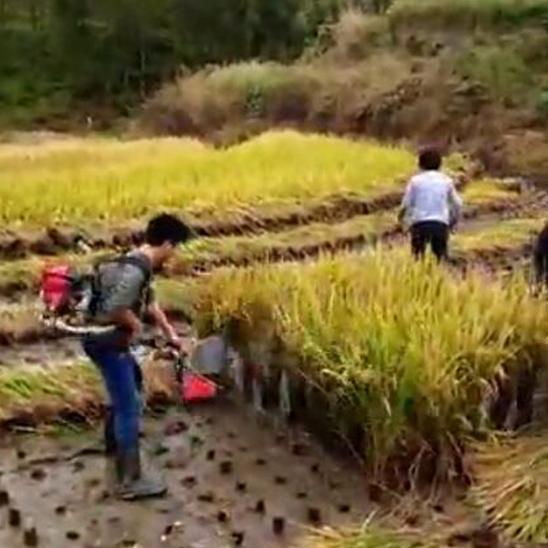 廠家直銷 水稻收割機(jī)  四沖程收割機(jī)