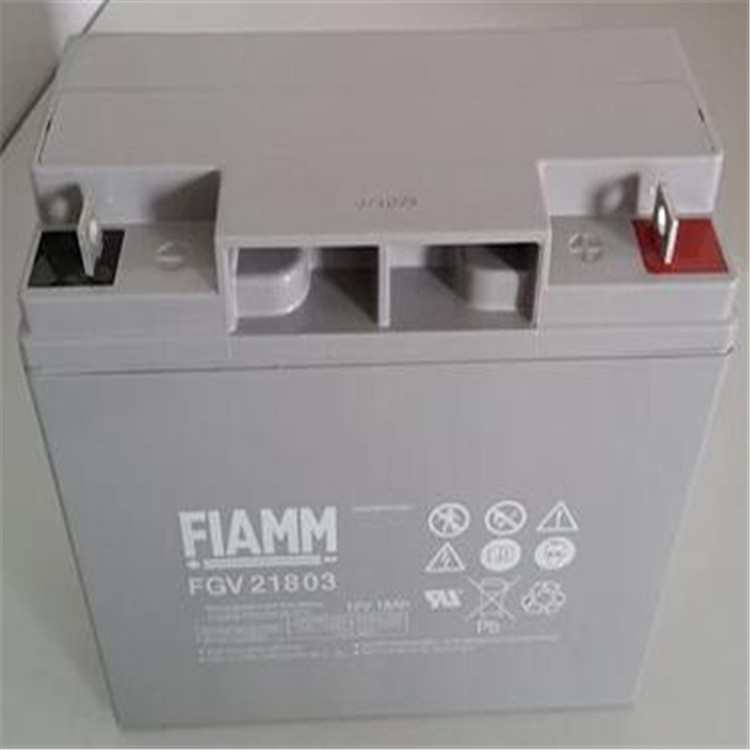 FLAMM非凡蓄電池12v65AH 直流屏 UPS電源專用