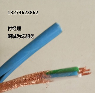 無氧銅電纜  YCW YZW   2*1  2*0.75  品質(zhì)優(yōu) 價格低