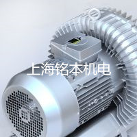 2RB930-7AH07隧道工程通風(fēng)8.5KW高壓真空泵/風(fēng)機(jī)