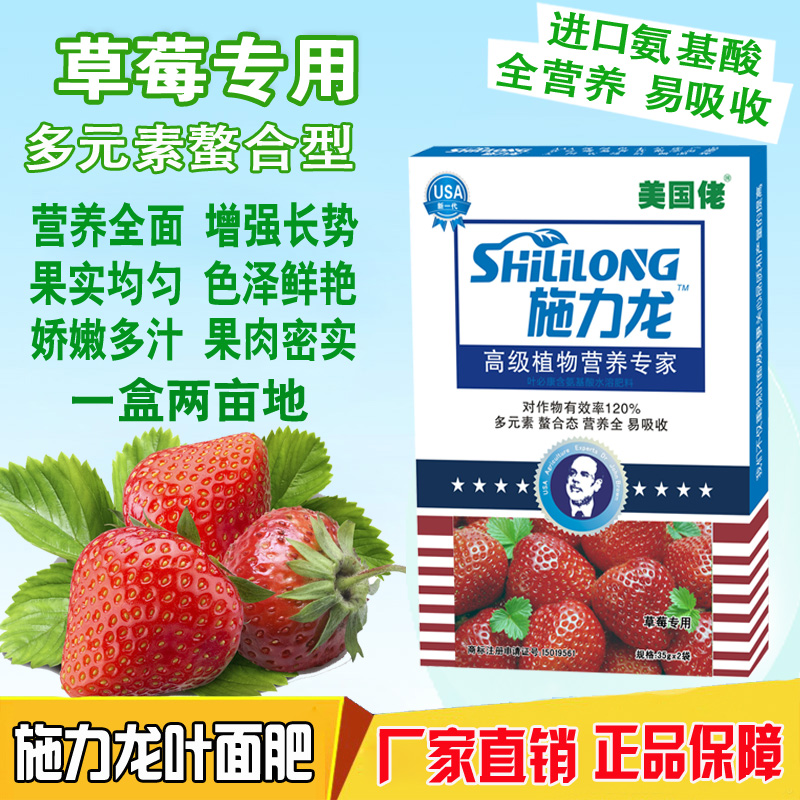 草莓定植前后病蟲(chóng)害管理