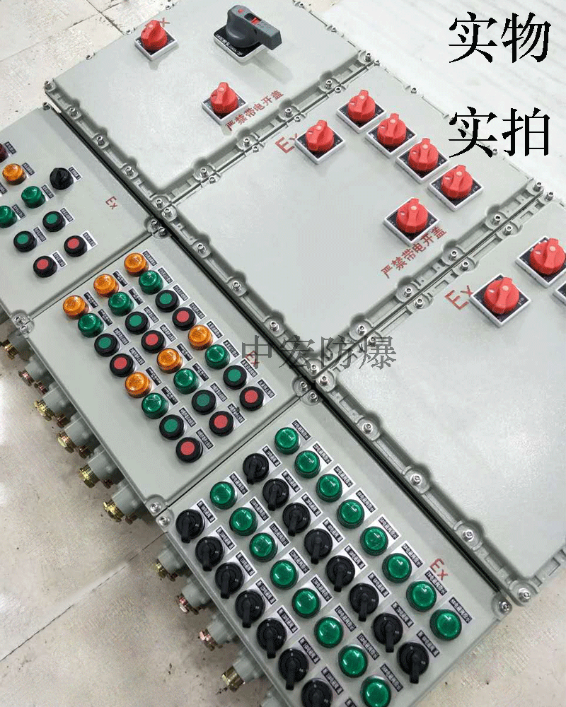化工專用防爆配電箱 浙江中宏防爆箱生產(chǎn)定做