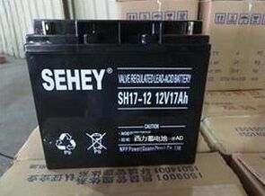 SEHEY西力SH45-12蓄電池直銷