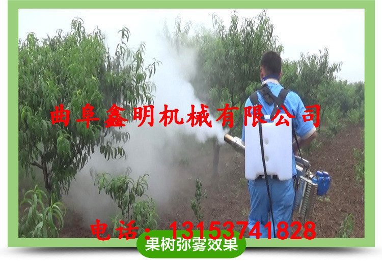 楂樻晥姹芥补褰岄湩姗�(j墨)鍍�(ji脿)鏍� 鏋滃湌闃叉不鐥呰煵(ch贸ng)瀹崇厵闇ф(j墨)鏁堟灉濂�