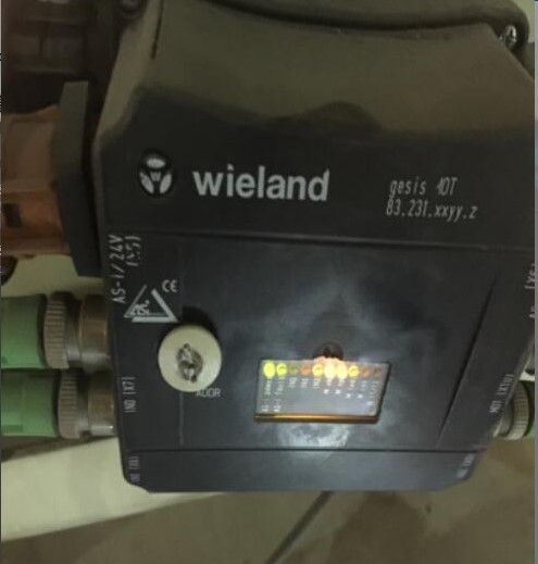 Wieland ASI遠程控制模塊GESIS MOT PAIC