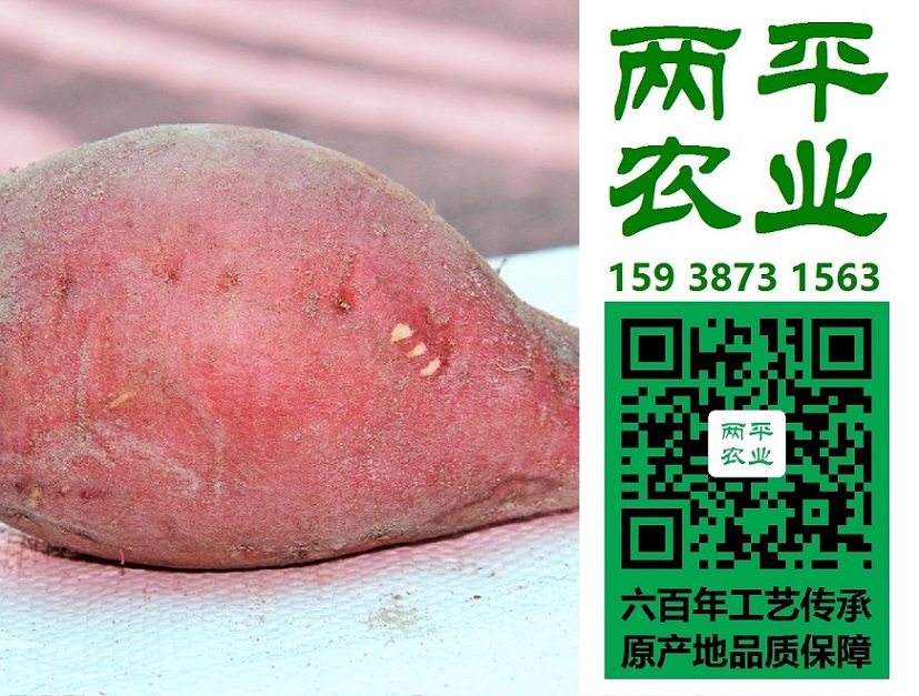 饒平縣紅薯粉條企業(yè)定制|饒平縣紅薯粉條生產代加工|饒平縣粉條成本價格【兩平農業(yè)】