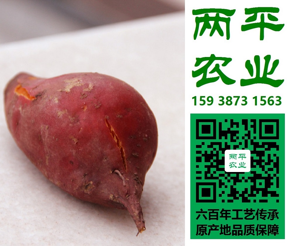 濟(jì)南全手工紅薯粉條市場(chǎng)行情|濟(jì)南紅薯粉條替代辦法|濟(jì)南純紅薯粉條供應(yīng)商【兩平農(nóng)業(yè)】