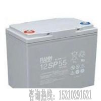 非凡12v系列蓄電池廠家代理，12SP55非凡免維護(hù)蓄電池