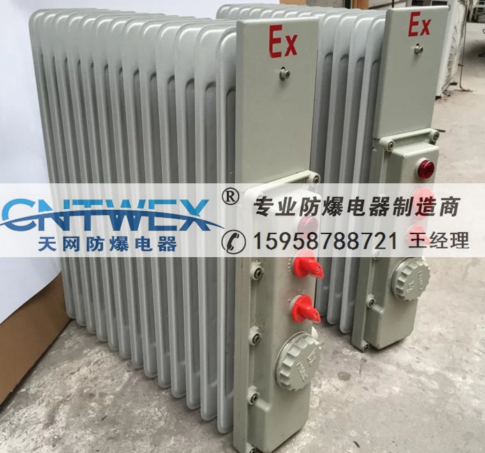 BDN58-1500w/9片防爆電熱油汀2000w/11片散熱片