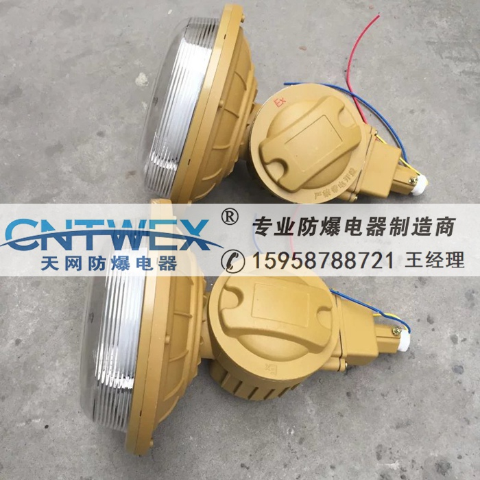 SBD1102-YQL40B吸頂式免維護(hù)防爆無(wú)極燈40W/220V