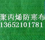 通化防寒布用途價格