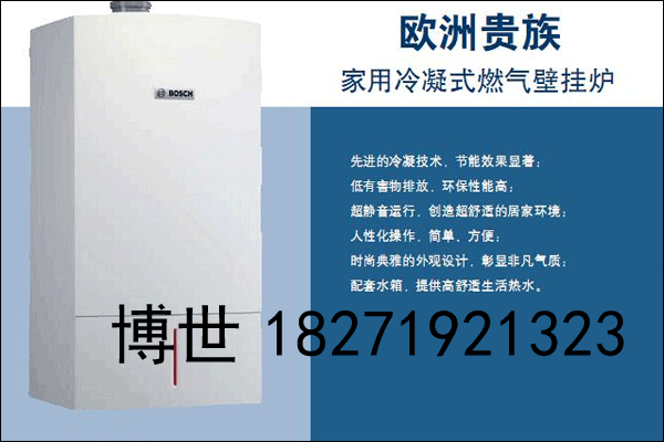 武漢博世歐洲之星銷售、武漢德國博世歐洲之星24KW銷售